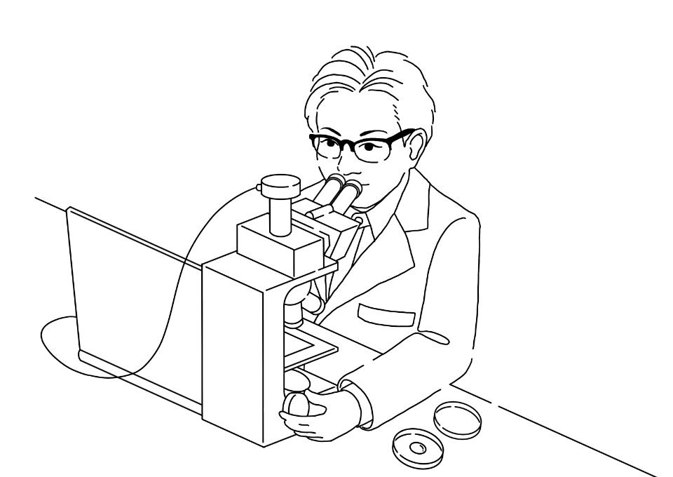 次なるコラーゲンは？